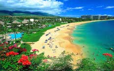 PROMO HAWAII