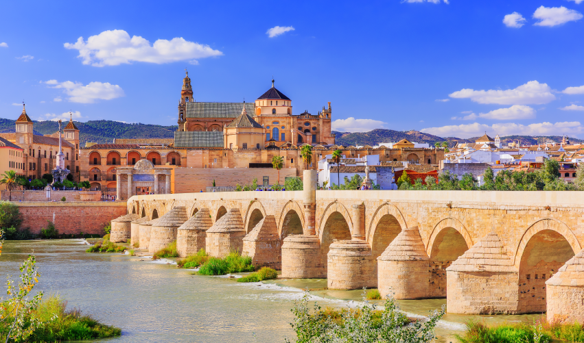 VIAJE VIAJE ESPANA MADRID SEVILLA FRANCIA BURDEOS PARIS TVG 2966