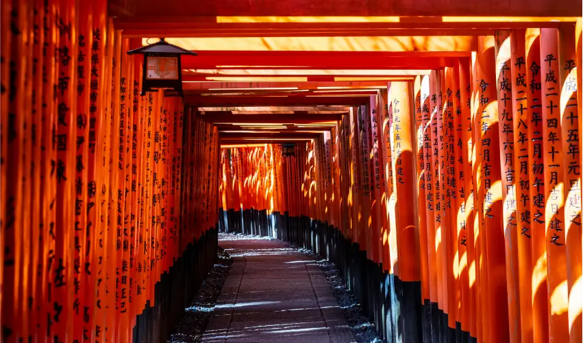 VIAJE VIAJE JAPON TOKIO KYOTO TVG 3709