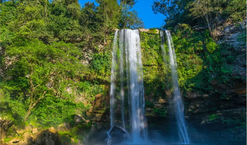 VIAJE VIAJE CHIAPAS YUCATAN TVG 4509