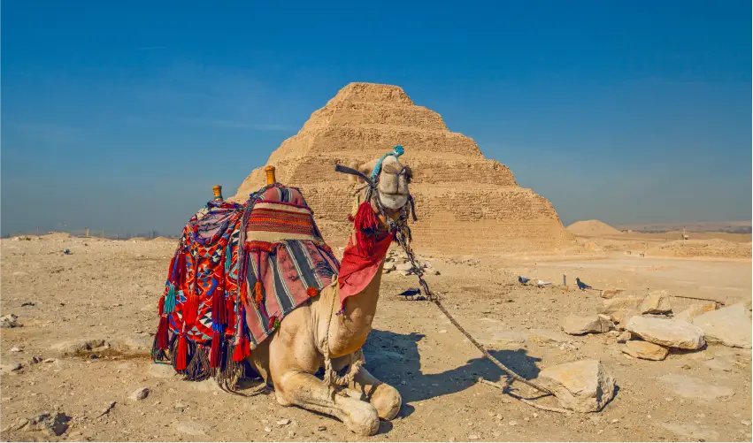 VIAJE VIAJE EGIPTO NILO TVG 4598