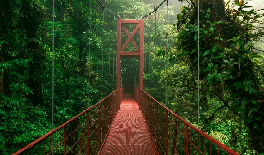 VIAJE VIAJE CENTROAMERICA SAN JOSE ARENAL MONTEVERDE COSTA RICA TVG 4649
