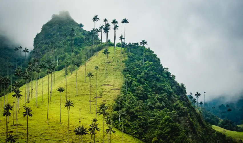 VIAJE VIAJE SUDAMERICA COLOMBIA BOGOTA PEREIRA CARTAGENA TVG 4729