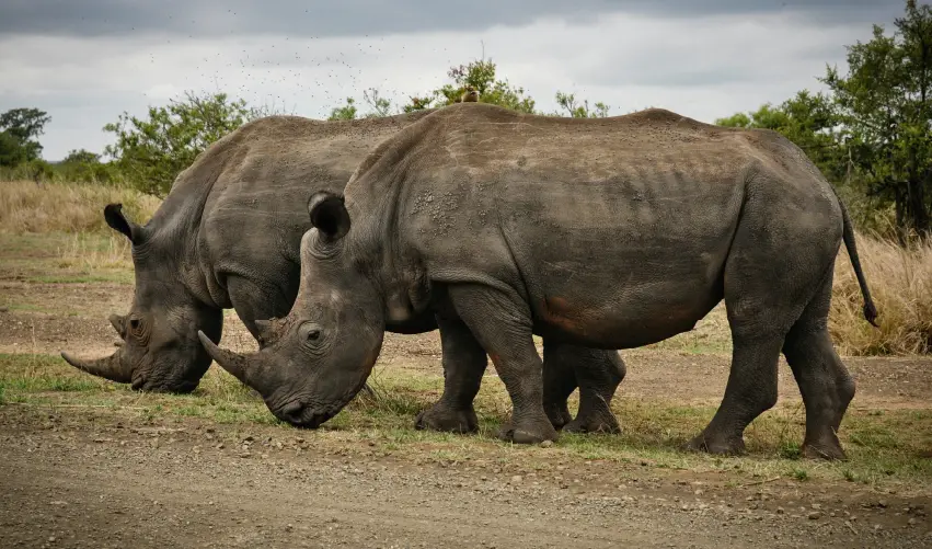 VIAJE RUTA GRAN AFRICA DEL SUR