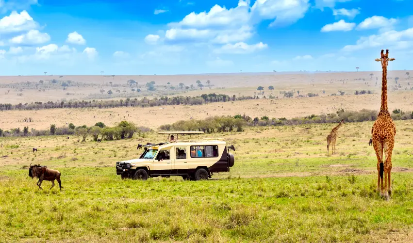 VIAJE VIAJE AFRICA KENIA SHABA ABERDARE NAKURU MAASAI MARA TVG 4964