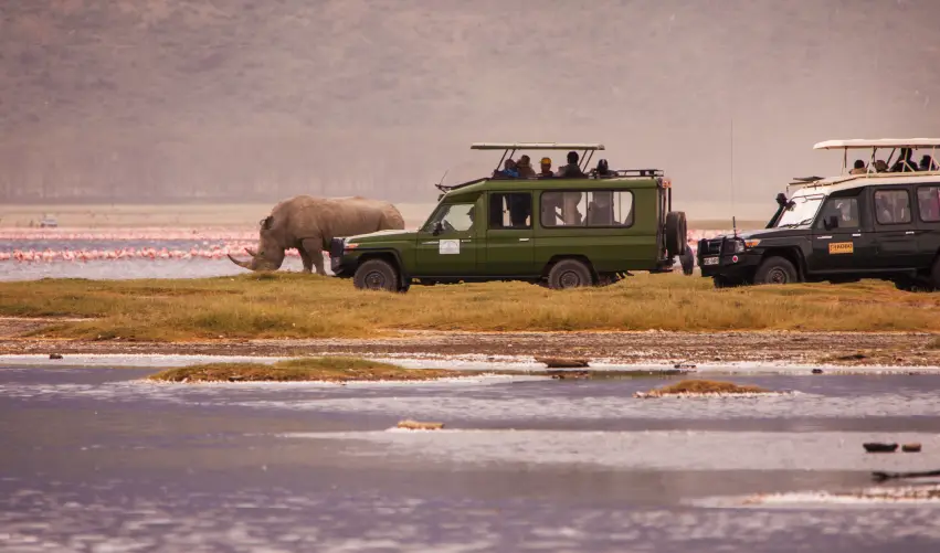 VIAJE VIAJE AFRICA KENIA AMBOSELI NAKURU MAASAI MARA TVG 4967