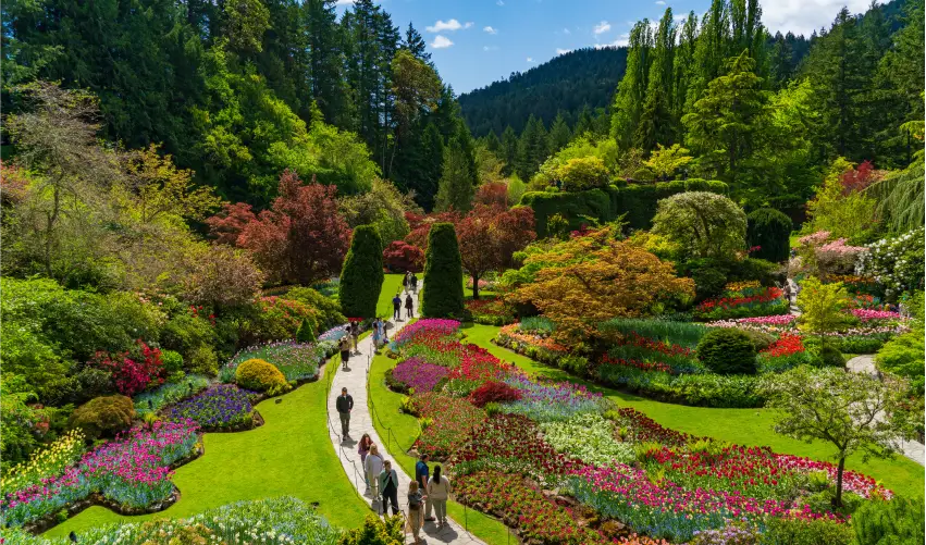 VIAJE CANADA VANCOUVER VICTORIA TVG 5068