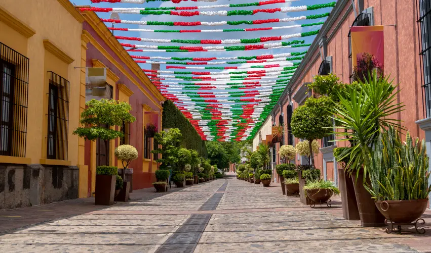 VIAJE VIAJE GUADALAJARA JALISCO MEXICO TVG 5208