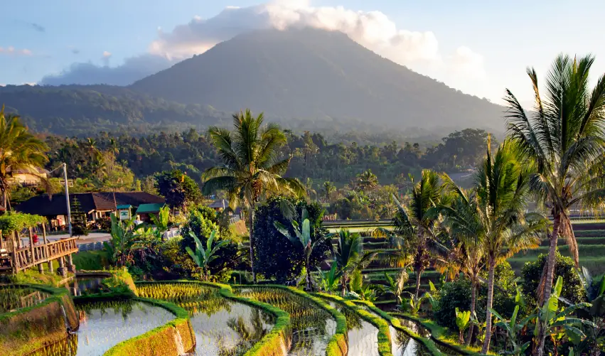 VIAJE VIAJE BALI INDONESIA TVG 5223