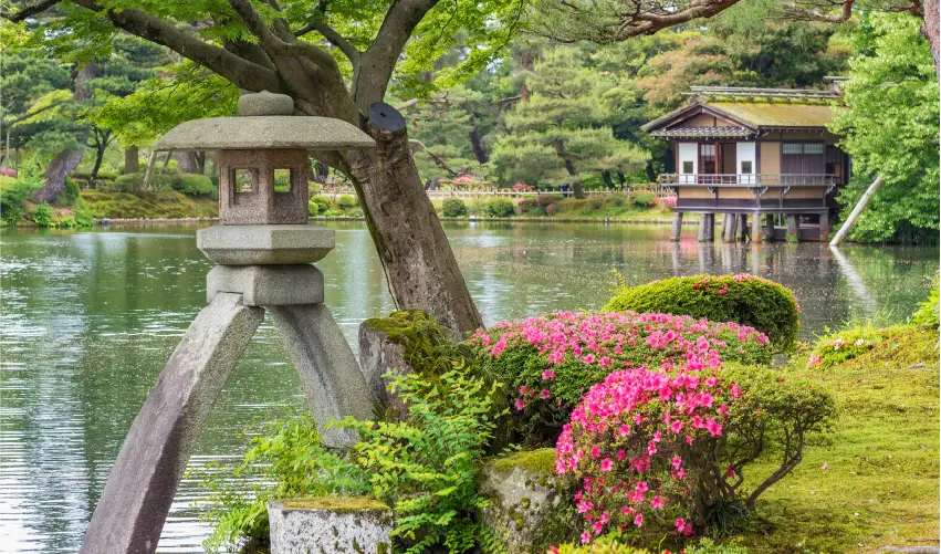 VIAJE JAPON TOKIO TVG 5256