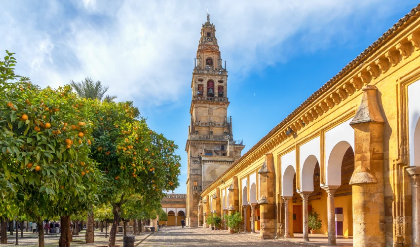 VIAJE VIAJE EUROPA GRANADA SEVILLA MADRID ESPANA TVG 5292