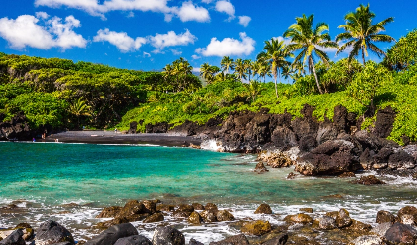 VIAJE VIAJE ESTADOS UNIDOS MAUI EEUU TVG 5337
