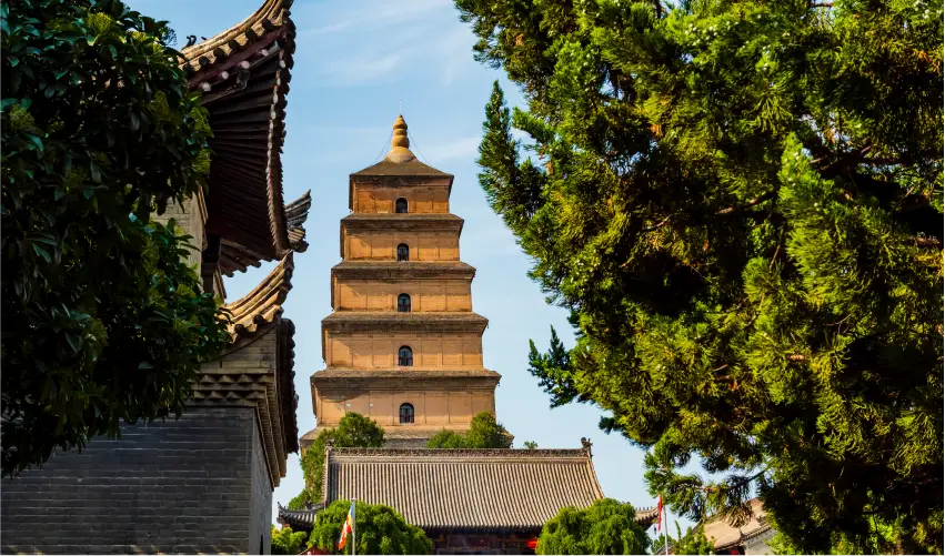 VIAJE VIAJE CHINA BEIJING XIAN SHANGHAI TVG 5636