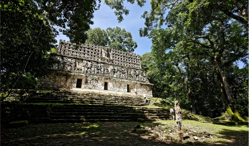 VIAJE VIAJE PALENQUE GUATEMALA TVG 5656