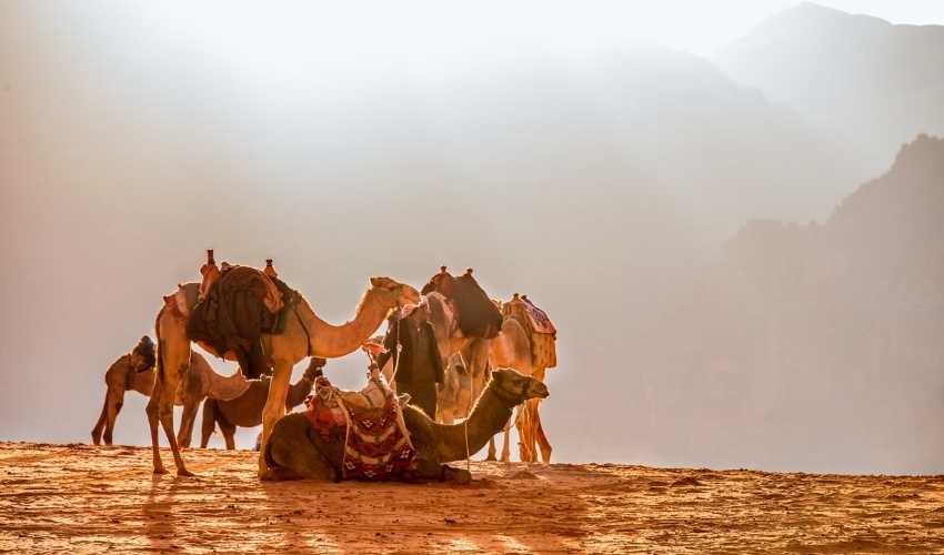 TURQUIA, DUBAI Y JORDANIA