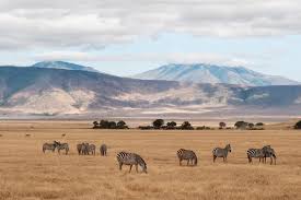 Viaje pincelada de kenia tanzania y zanzibar 