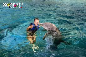 Viaje Xcaret-Plus-Dolphin-Ride-con-transportacion 
