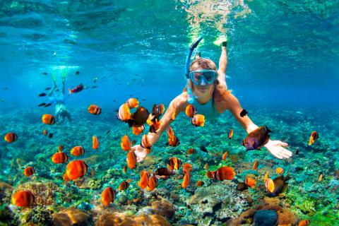 Viaje Tour-Snorkel-Native-Park-Cancún 
