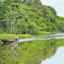 Viaje amazonas de lujo 