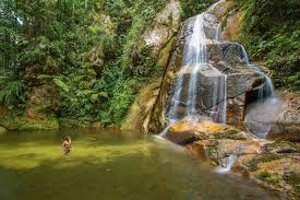 Viaje selva dulce 