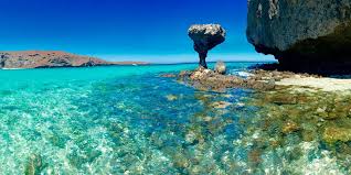 Viaje naturaleza en baja california sur 