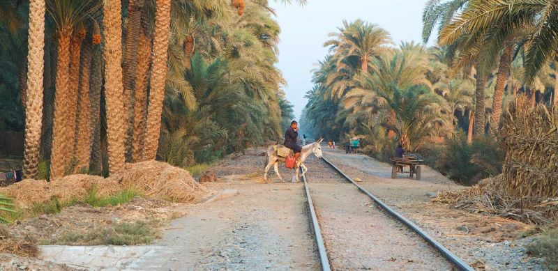 Viaje egipto clasico en tren 