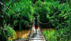Viaje costa rica estandar 