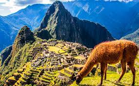 Viaje machu picchu de lujo 
