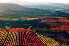 Viaje lo mejor de la rioja y navarra premium