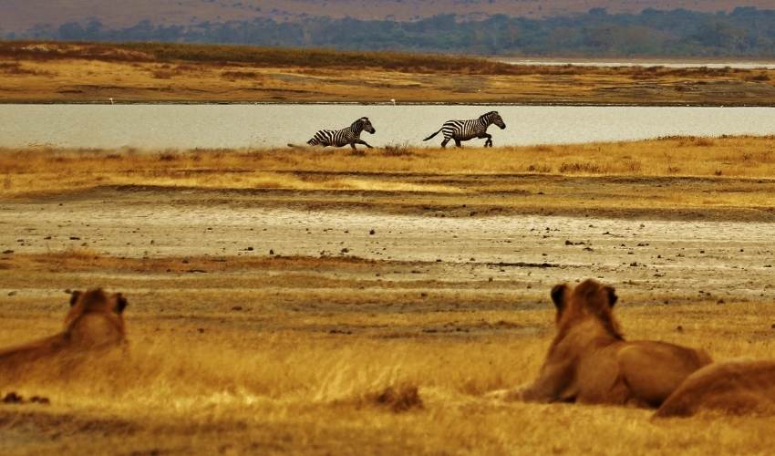 Viaje aventura-en-tanzania-con-zanzibaren-4x4 