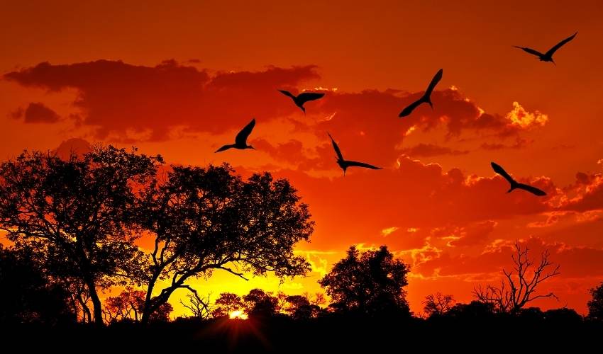 Viaje ESENCIA DEL SUR DE AFRICA  