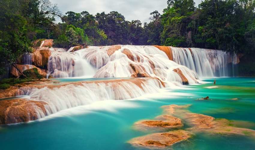 Viaje chiapas 4 dias 