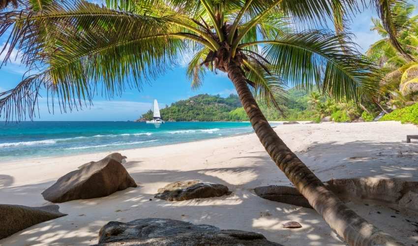 Viaje nueva zelanda y fiji 