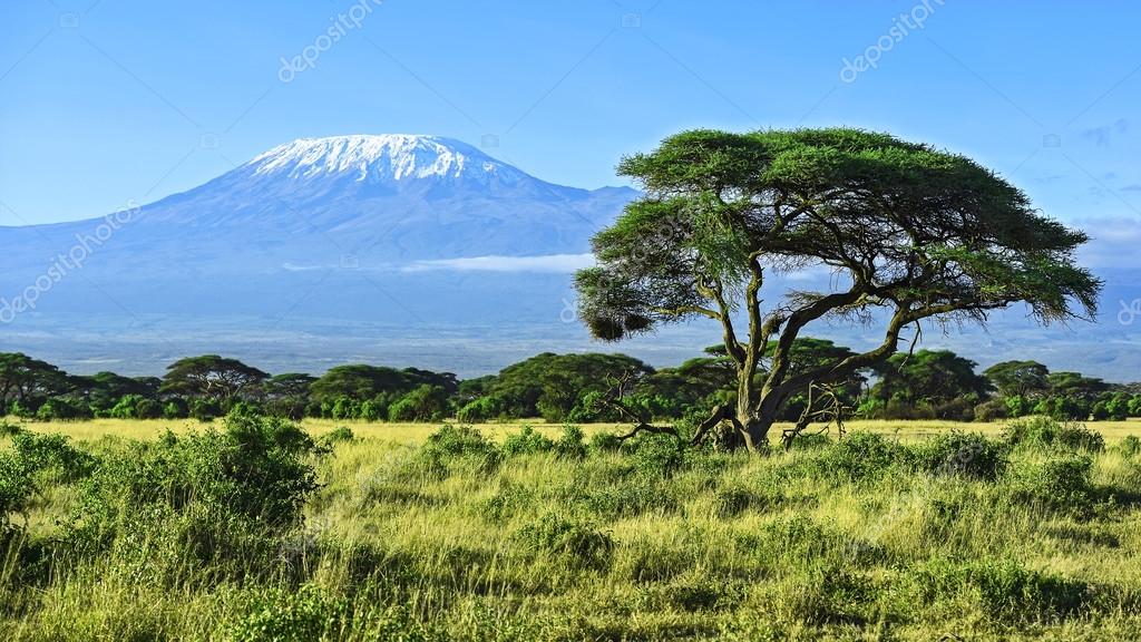 Viaje gran safaria desde kenya a tanzania en 4 x 4 