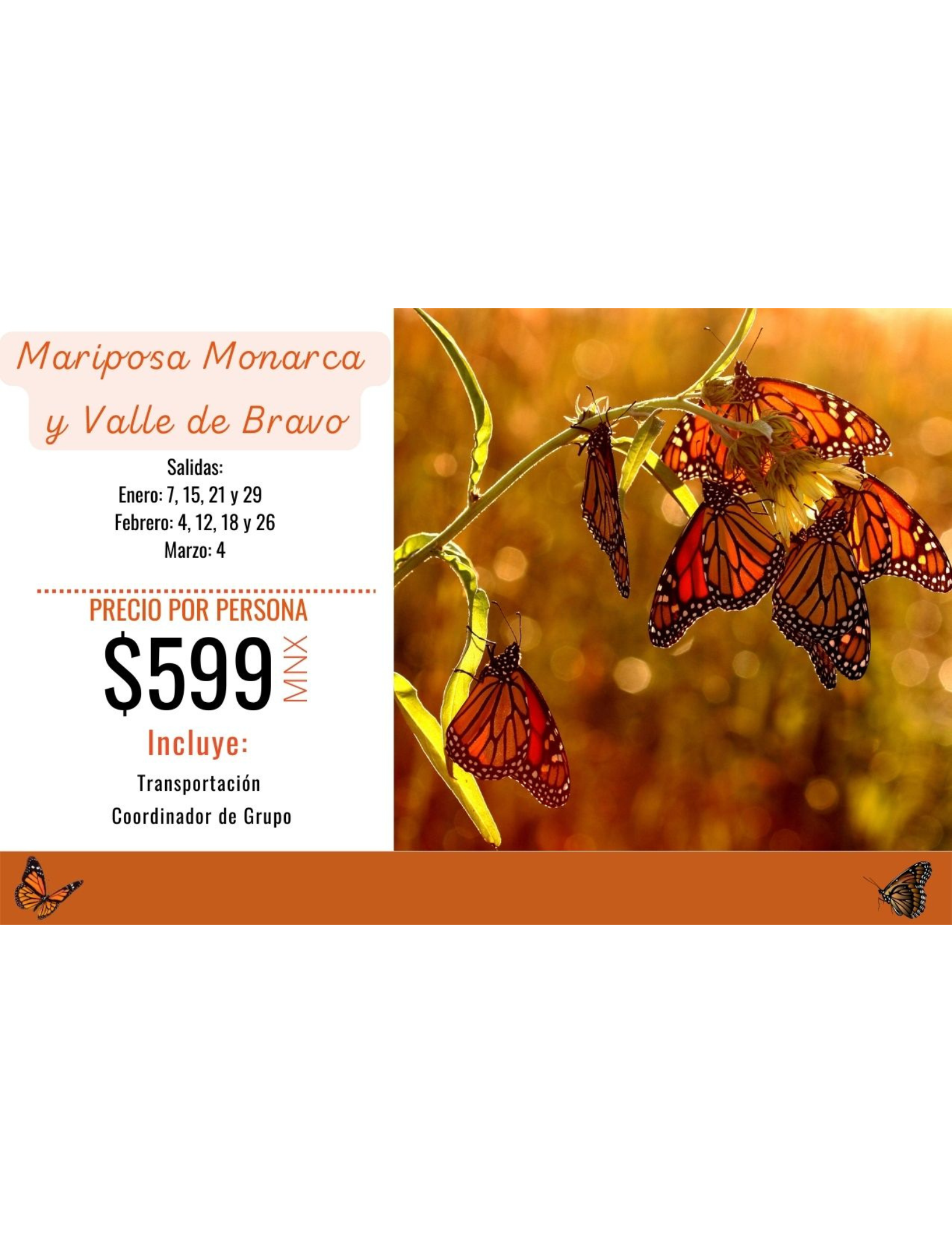 Viaje mariposas valle de bravo 