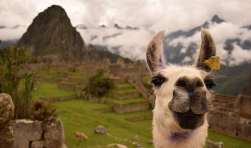 Viaje machu picchu inn 