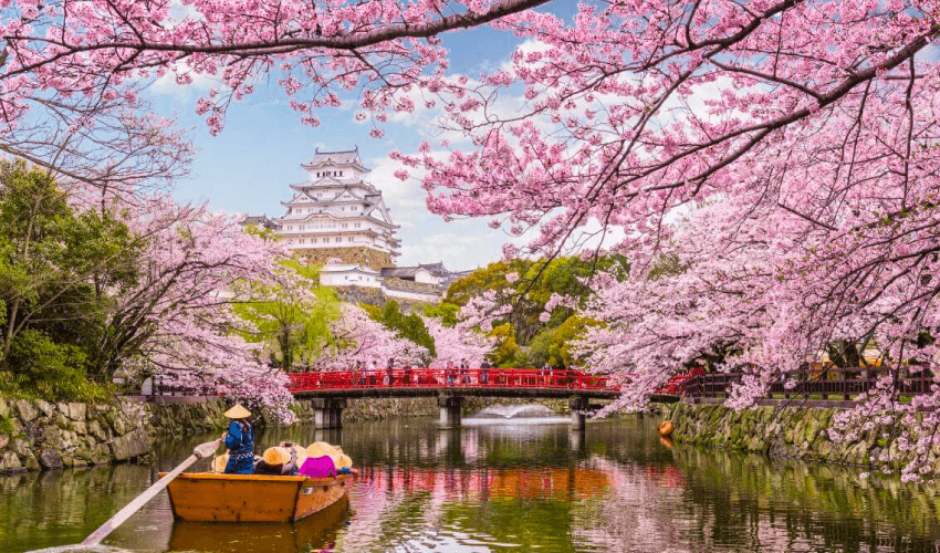 Viaje japon maravilloso 