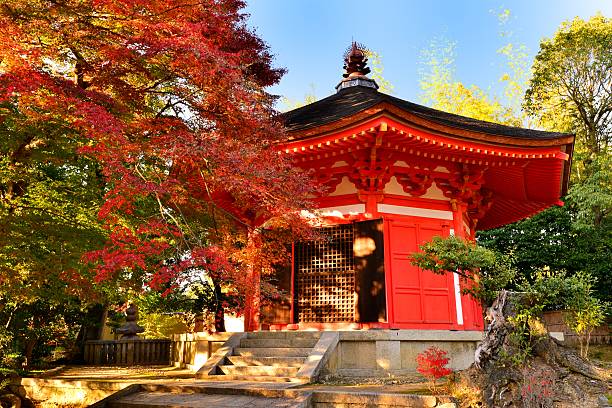Viaje gran japon con nikko 