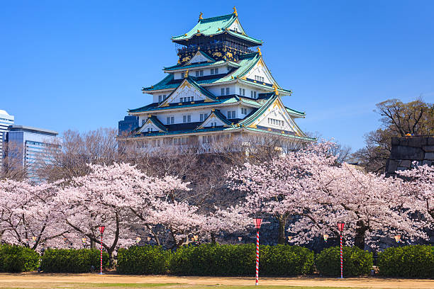 Viaje gran japon con nikko e hiroshima 