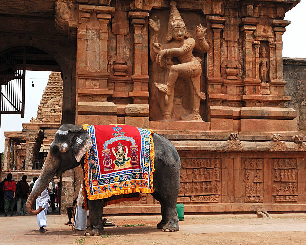 Viaje india-triangulo dorado bangkok y phuket 