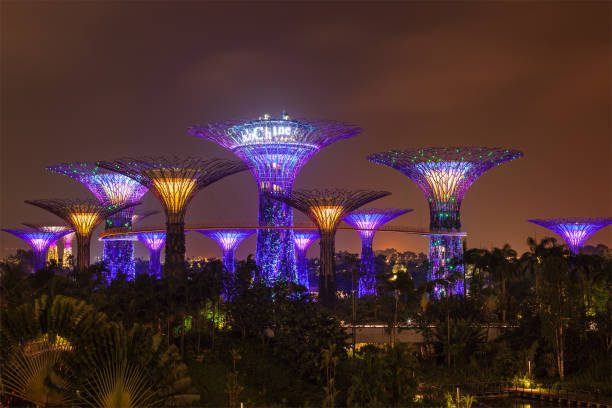 Viaje special singapur, java y bali 