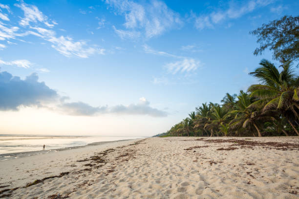 Viaje kenya, ruta del tren de la luna y playa de mombasa 