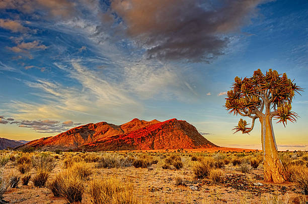 Viaje namibia fascinante y desierto de kalahari 