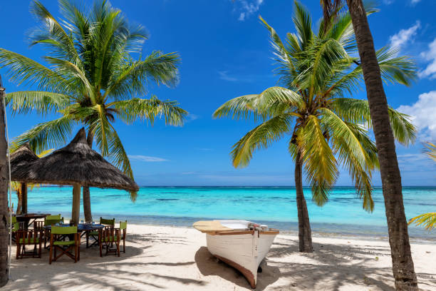 Viaje sudafrica-en-reserva-privada-y-extension-a-isla-mauricio-clasico 