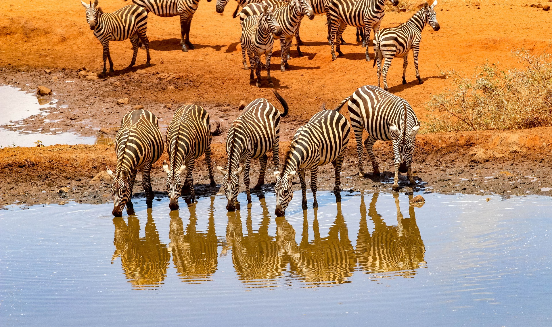 Viaje kenya y tanzania express con zanzibar 