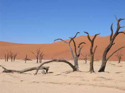 Viaje NAMBIA Y LAS ARENAS DEL NAMIB 
