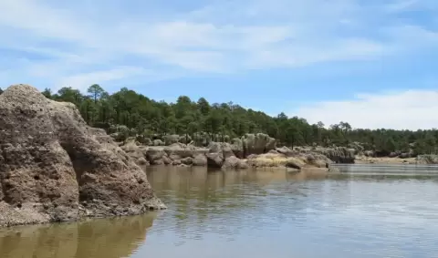 VIAJE VIAJE CHIHUAHUA SINALOA MEXICO TVG 2439