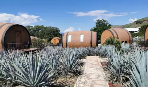VIAJE VIAJE GUADALAJARA JALISCO MEXICO TVG 2472