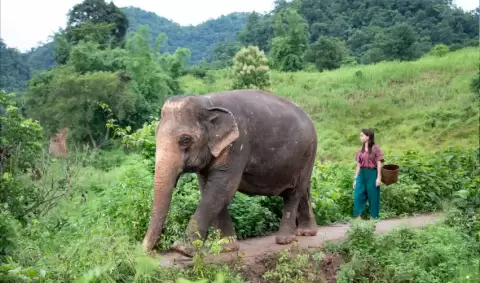VIAJE VIAJE ORIENTE LEJANO CAMBOYA VIETNAM TAILANDIA TVG 4225