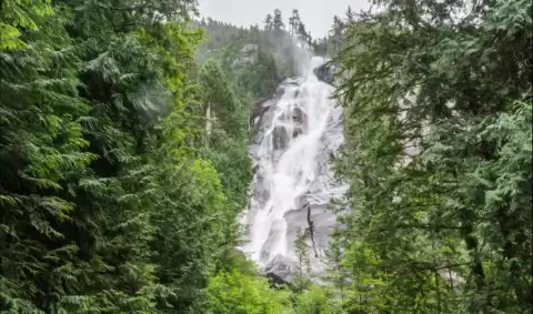 Viaje viaje-canada-vancouver-tvg-4582